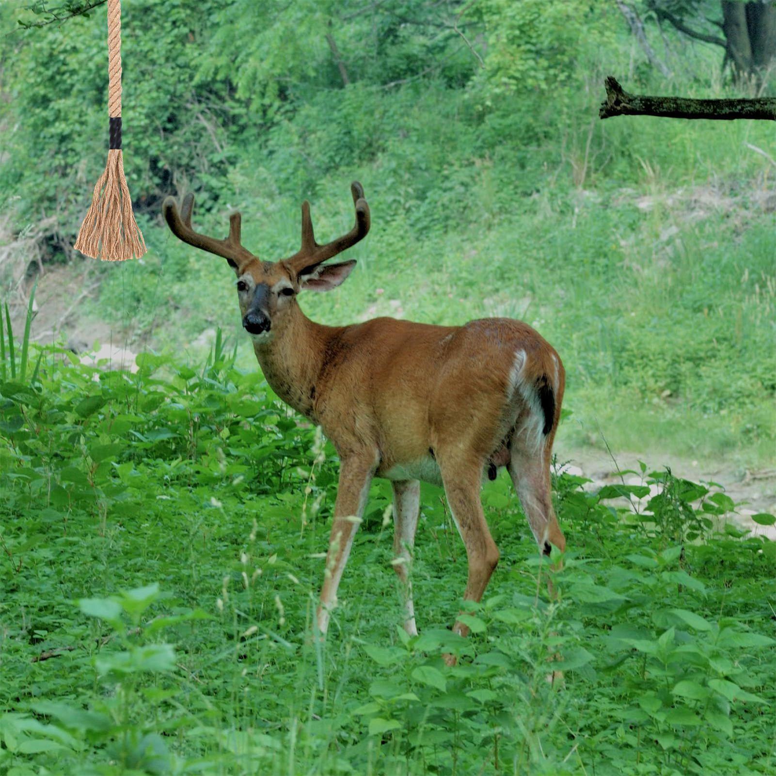 Deer Attractant Scent - Hirschkratzen, wirksamer, langlebiger Lockstoff, Kratzen, Quasten,