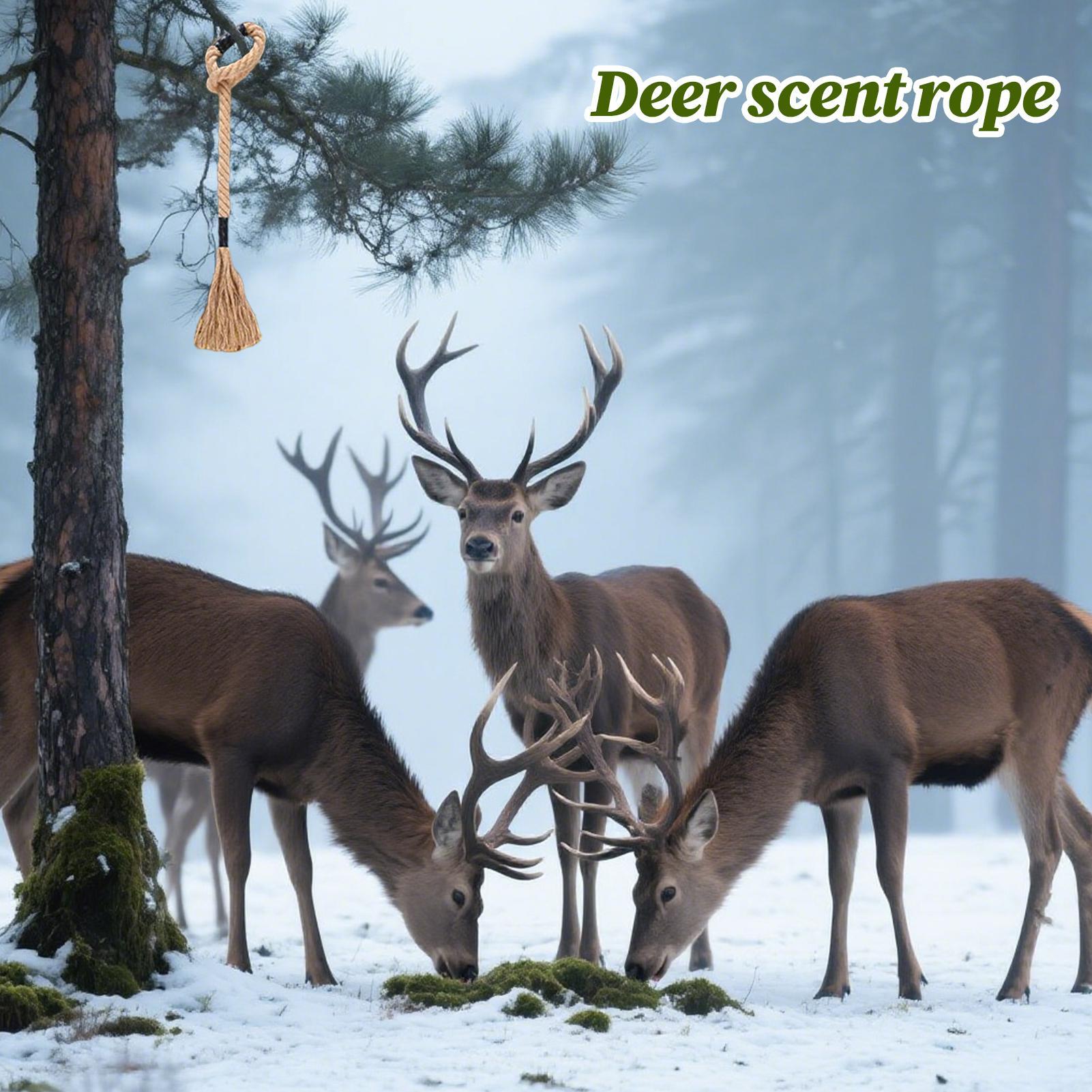 Hirschkratzen, wirksamer, lang – Deer Attractant Scent Bewertung und Preis