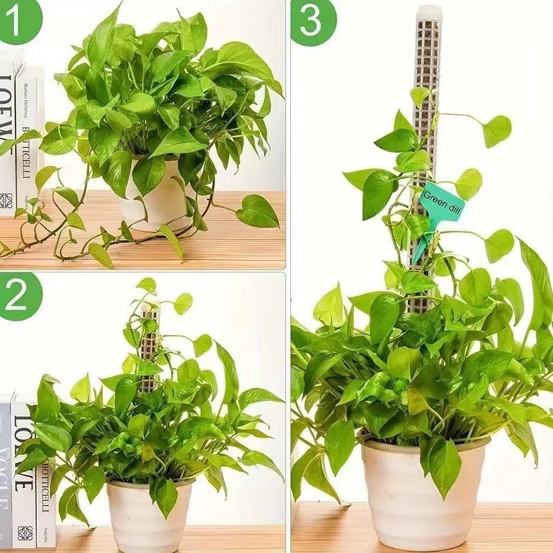 1/2/3 Stück Selbstbewässernde  – Tree Stand Ladder Bewertung und Preis